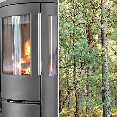 2718-nexo-molle-odde-10 * Vester Sømarken